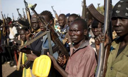 الامم المتحدة تحذر من تجدد الصراع القبلي في جنوب دار فور