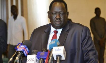 رداً على الوفد.. جنوب السودان يرفض مُشاركة المجلس المركزي في ورش سلام جوبا