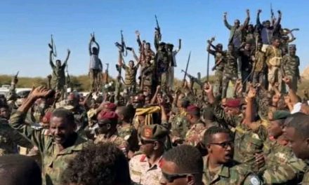 الجيش يستعيد ثلاث مناطق في محور كردفان