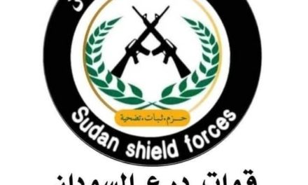 قوات درع السودان تصدر بياناً رسمياً بشأن ما حدث في ود مدني