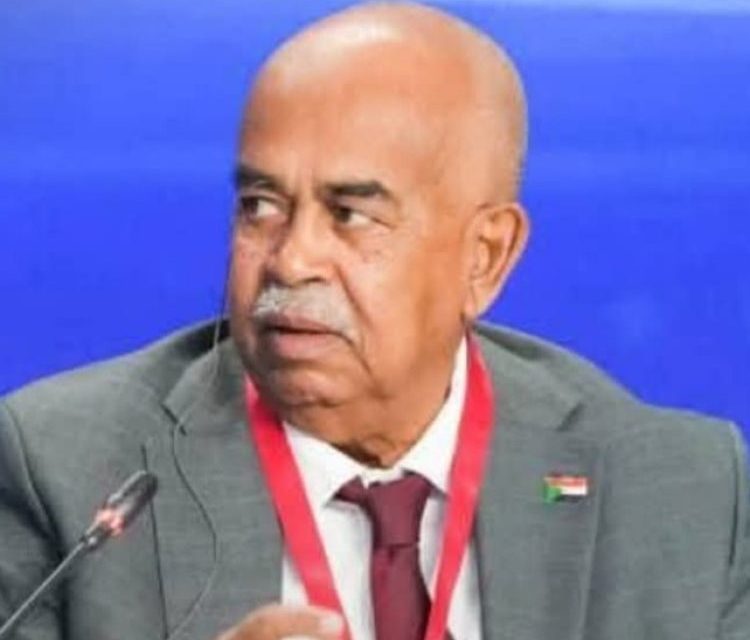 استثمارات تركية ضخمة في الطريق إلى السودان