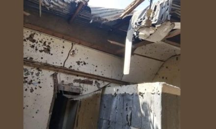 ملي.شيا الدع.م السريع تقصف مدينة الدلنج وتخلف قتلى وجرحى…