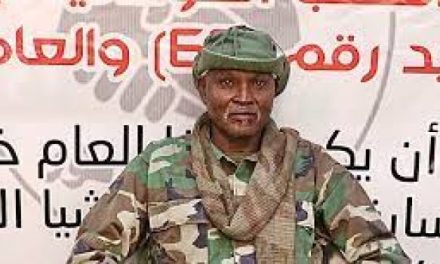 استشهاد قائد القوة المشتركة ونجله في معارك الفاشر…