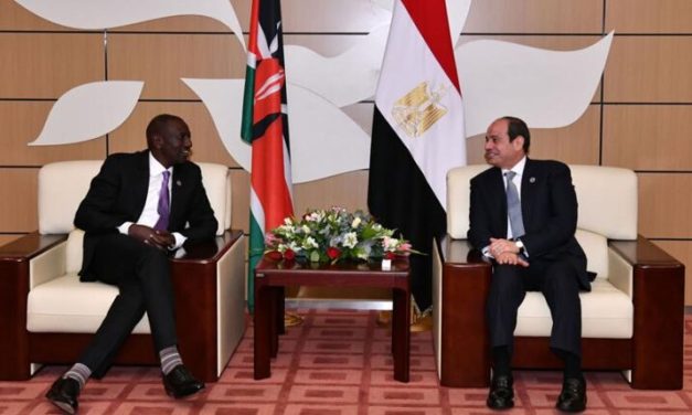السيسي يبحث مع الرئيس الكيني تطورات الأزمة في السودان وأهمية الحل السلمي