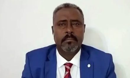 الدع..م السريع يرد على تصريحات وزير الخارجية الأمريكي