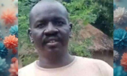 ضربة دقيقة للقوات المسلحة تستهدف معسكر الحلو بجنوب البلاد