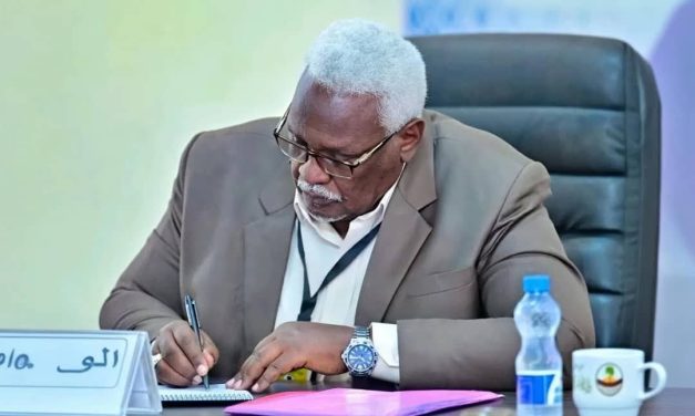 والي نهر النيل يصدو حزمة من القرارات لتدوير المدراء التنفيذيين في محليتي الدامر وشندي