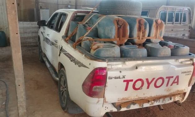 الجهات الأمنية تضبط تهريبات خطيرة بالولاية الشمالية