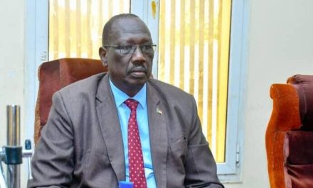 بيان من حكومة النيل الأزرق بخصوص الهجوم على الدمازين