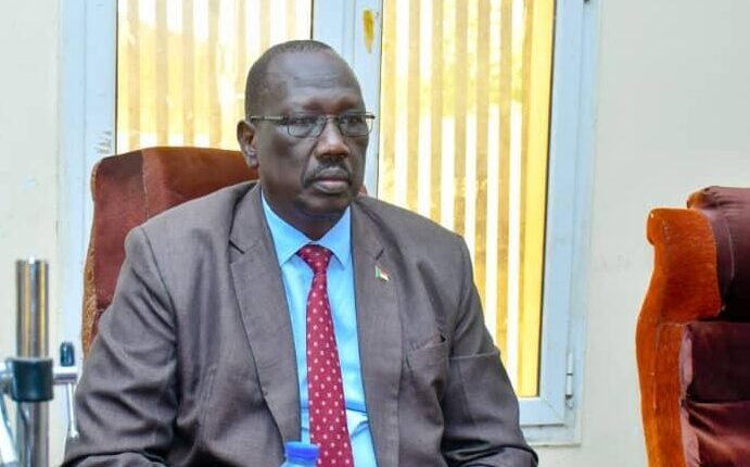 بيان من حكومة النيل الأزرق بخصوص الهجوم على الدمازين