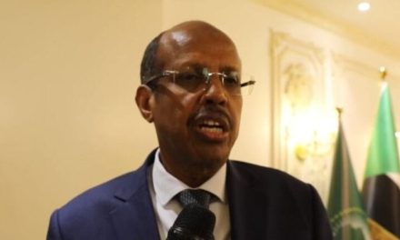 الإتحاد الأفريقي يدين مجزرة أطفال في جنوب كردفان