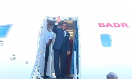 رئيس الوزراء يستهل زيارة رسمية إلى جيبوتي لتعزيز التحالف الثنائي