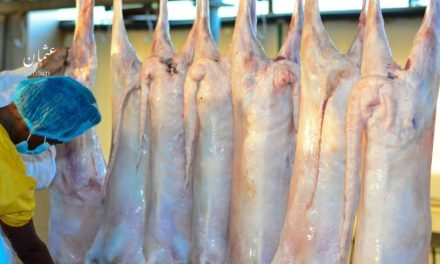 السودان يدشن المرحلة الأولى لتصدير اللحوم المذبوحة بمواصفات عالمية