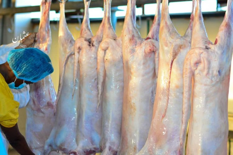 السودان يدشن المرحلة الأولى لتصدير اللحوم المذبوحة بمواصفات عالمية