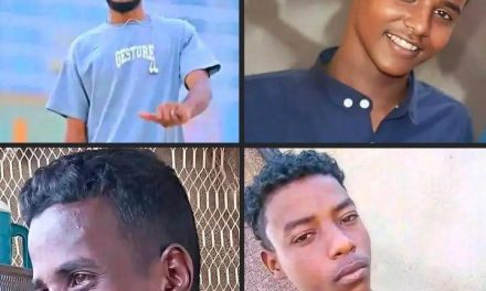 الفاجعة تطرق أبواب سنار.. الموت يغيب أربعة شبان داخل بئر ذهب بنهر النيل…