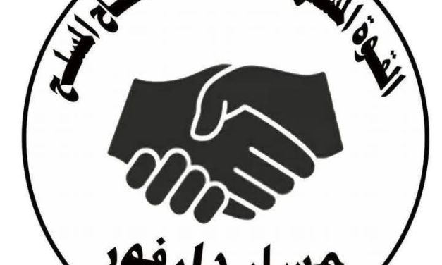 عملية نوعية تنهي وجود المتمردين في جرجيرة.. والقوة المشتركة تلاحق الفارين جنوباً