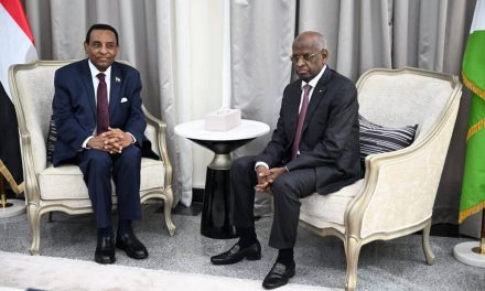 بين حكومة الأمل وجيبوتي.. تفاهمات لتبادل خبرات الموانئ وتعزيز الميزان التجاري