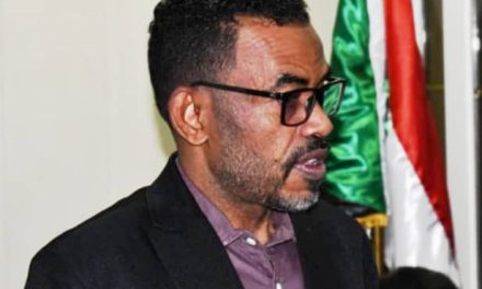 رئيس مجلس السلم الإجتماعي : الخرطوم تستعيد عافيتها وكرنفال شبابي مرتقب يعكس التنوع السوداني