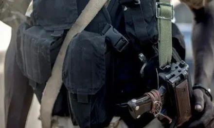 القوة المشتركة في كوستي تضبط مسلحاً وتلاحق فارين أطلقوا النار بمنطقة المزلقان