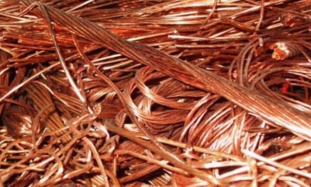 إفشال عملية تهريب كبرى إلى خارج البلاد…