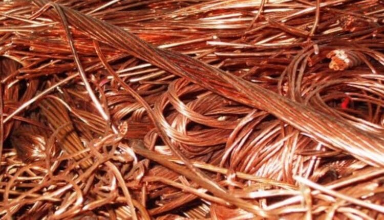 إفشال عملية تهريب كبرى إلى خارج البلاد…