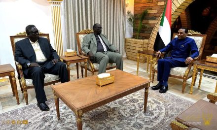 رئيس الوزراء يقف على مجمل الأوضاع بإقليم النيل الأزرق