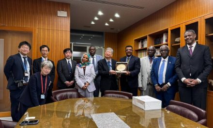 من طوكيو.. تحرك دولي لإنقاذ الآثار السودانية ومواجهة دمار الحرب