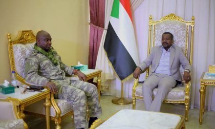 تنسيق وطني واسع بين تجمع قوات تحرير السودان وحركة شباب التغيير والعدالة السودانية