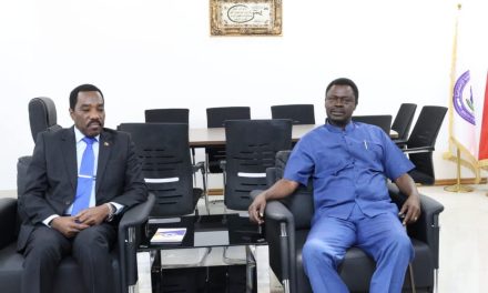 وزير الرعاية ومناوي يضعان خارطة طريق لدعم النازحين…