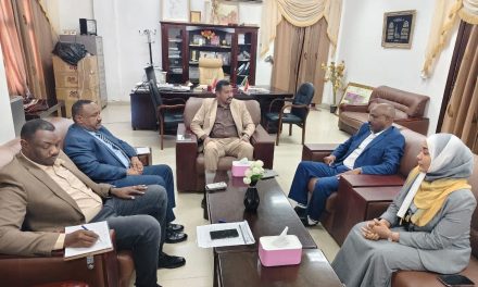 خطوات جادة لتعزيز الإستثمار في مجال المعادن الصناعية والذهب..