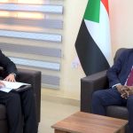 شراكة (سودانية صينية) مرتقبة لحماية التراث وجولة ميدانية في الولاية الشمالية…
