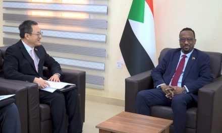 شراكة (سودانية صينية) مرتقبة لحماية التراث وجولة ميدانية في الولاية الشمالية…