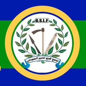 تجمع قوى تحرير السودان يدعو تشاد لخطاب متزن ويحذر من أي تصعيد يهدد استقرار المنطقة